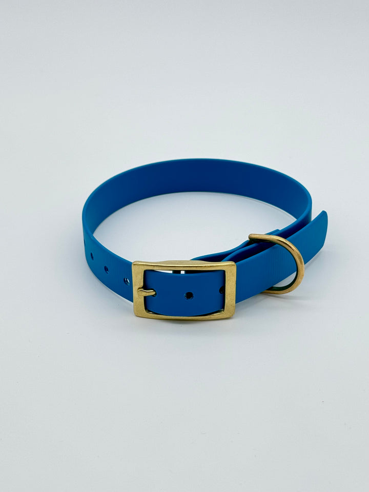 Classic Buckle Collar