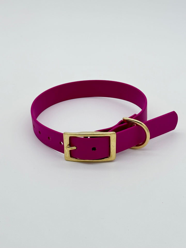 Classic Buckle Collar