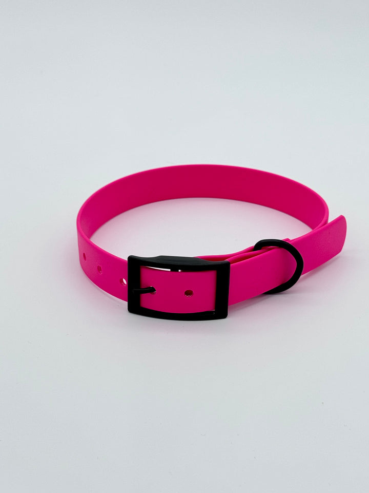 Classic Buckle Collar