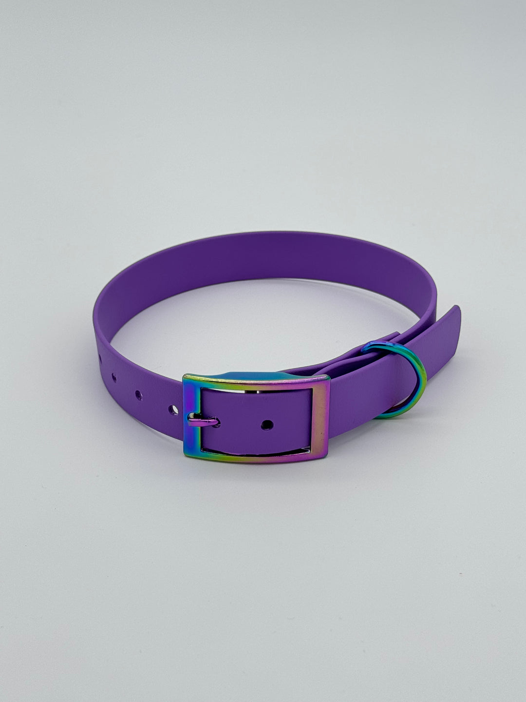 Classic Buckle Collar