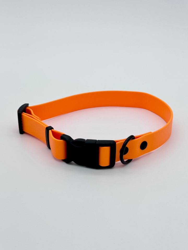 Sport Collar